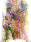 PlexiArt 11