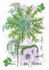 PrintsSerie Garten 01