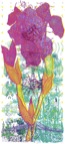 PlexiSerie Natur