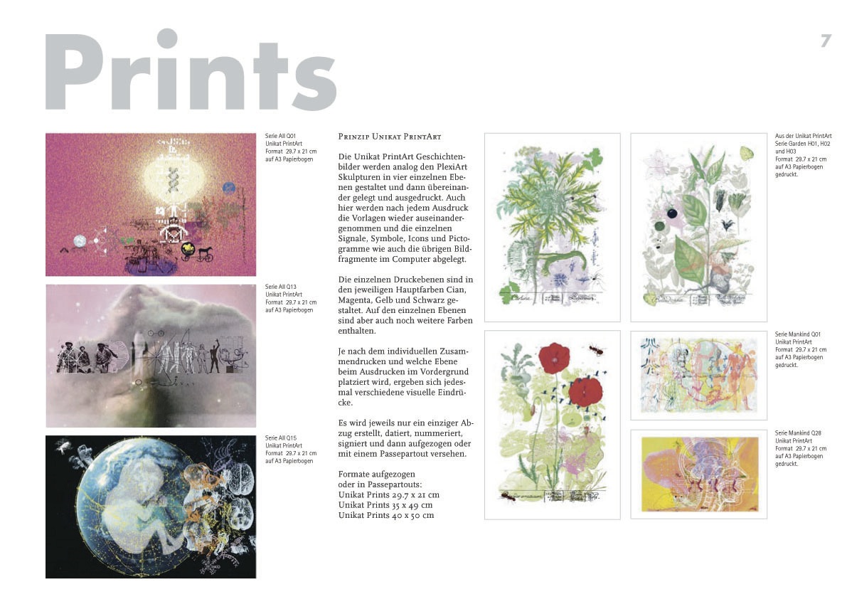 Portfolio 8